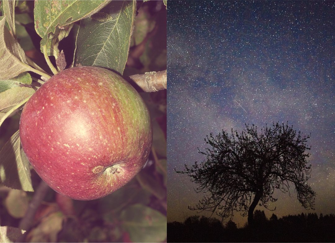 Https Www Bfn De Fileadmin Bfn Erneuerbareenergien Dokumente Landschaftsbildundenergiewende Band1 Pdf