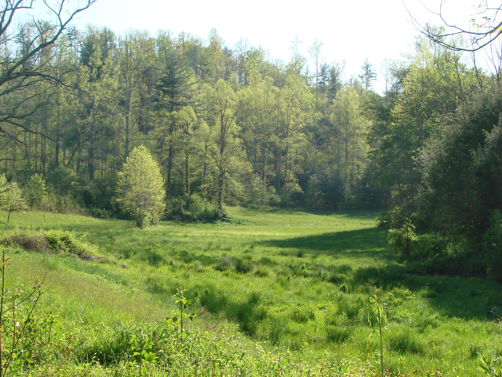 Murphy NC Real Estate Brand New Home and Land Packages The Meadows of