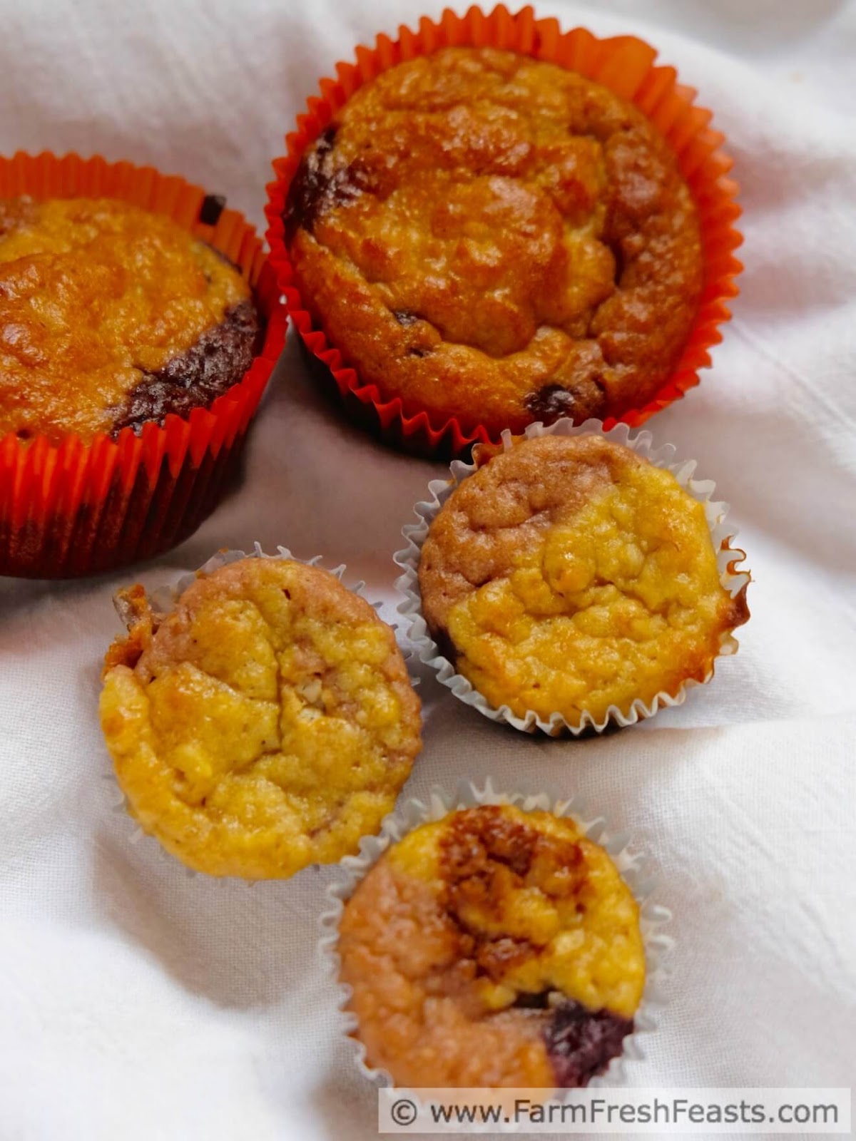 Farm Fresh Feasts Berry Mango Swirl Muffins
