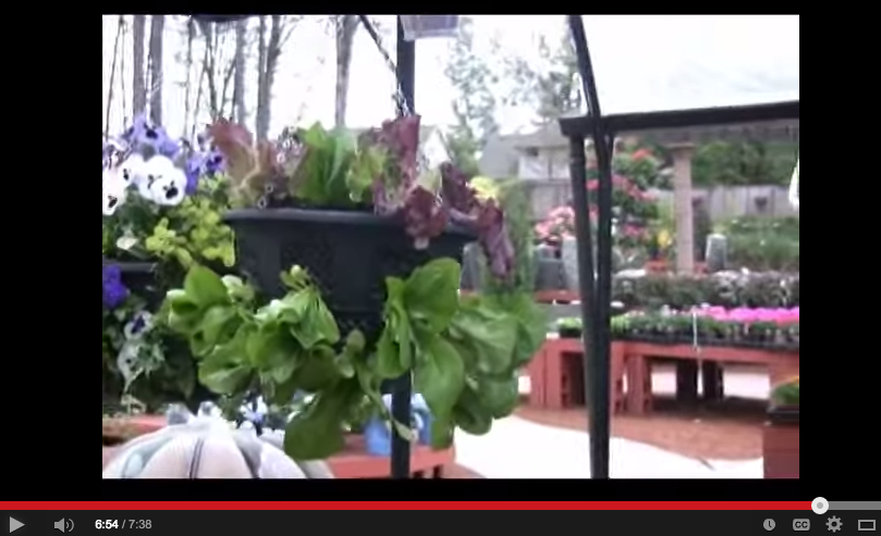 Video: Plantopia Flower Pots