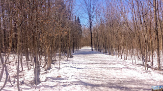 Canada Ottawa Parc Gatineau Canada Ottawa Parc Gatineau