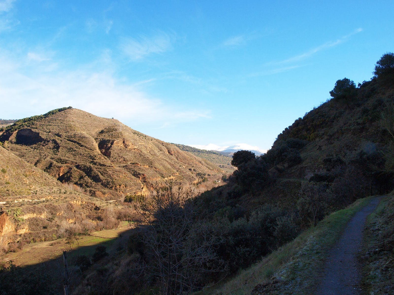 Foto de Parque periurbano El Ejido en Beas de Granada, Granada