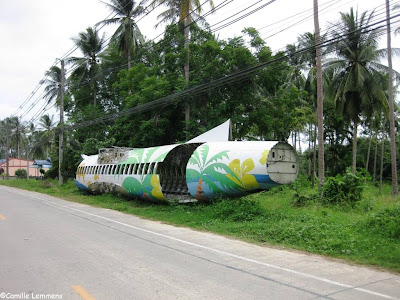 Bangkok Airways plane body view