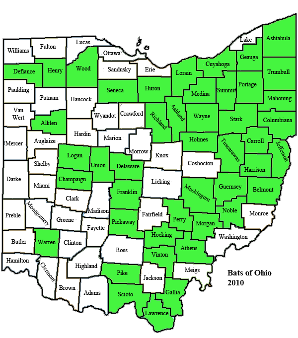Bat Conservation Northern Longeared Bat