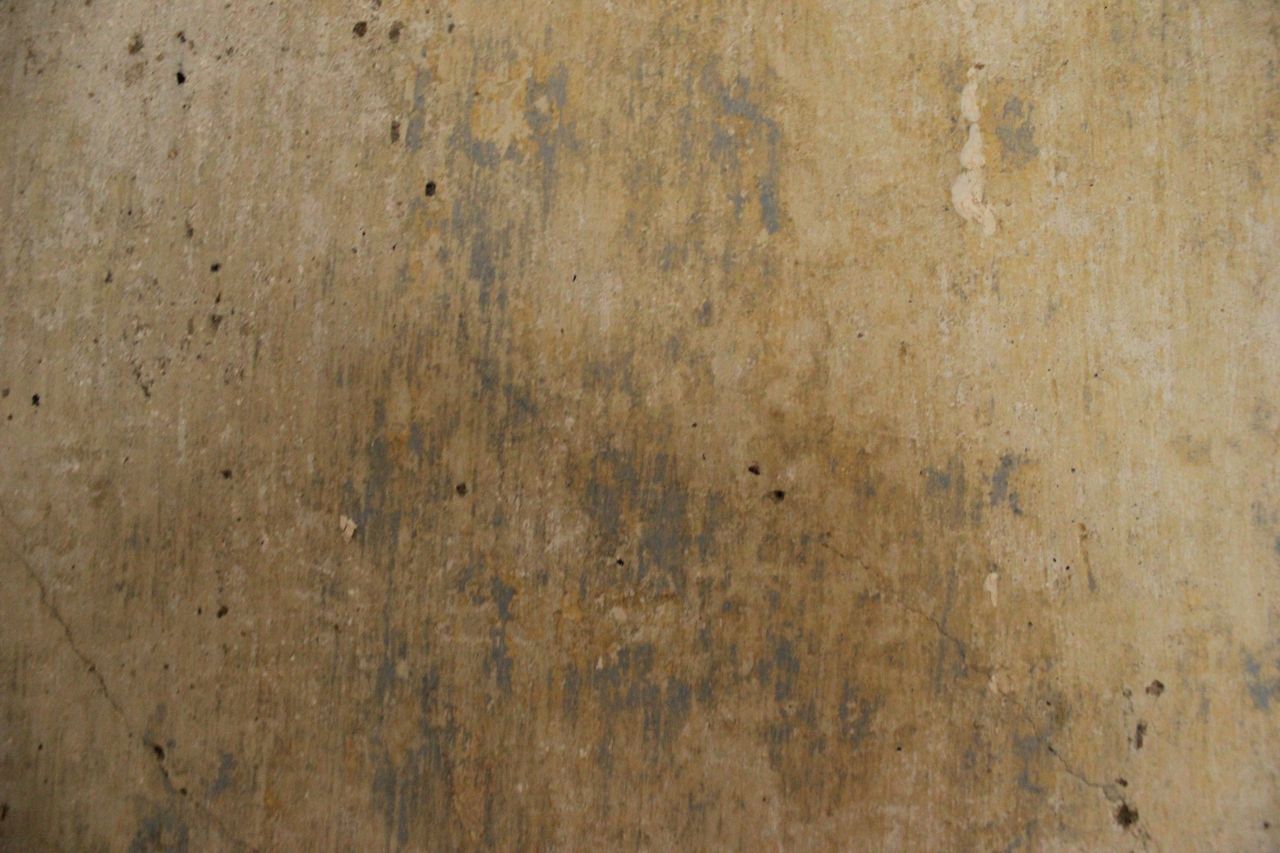 Afternibbin bare plaster walls