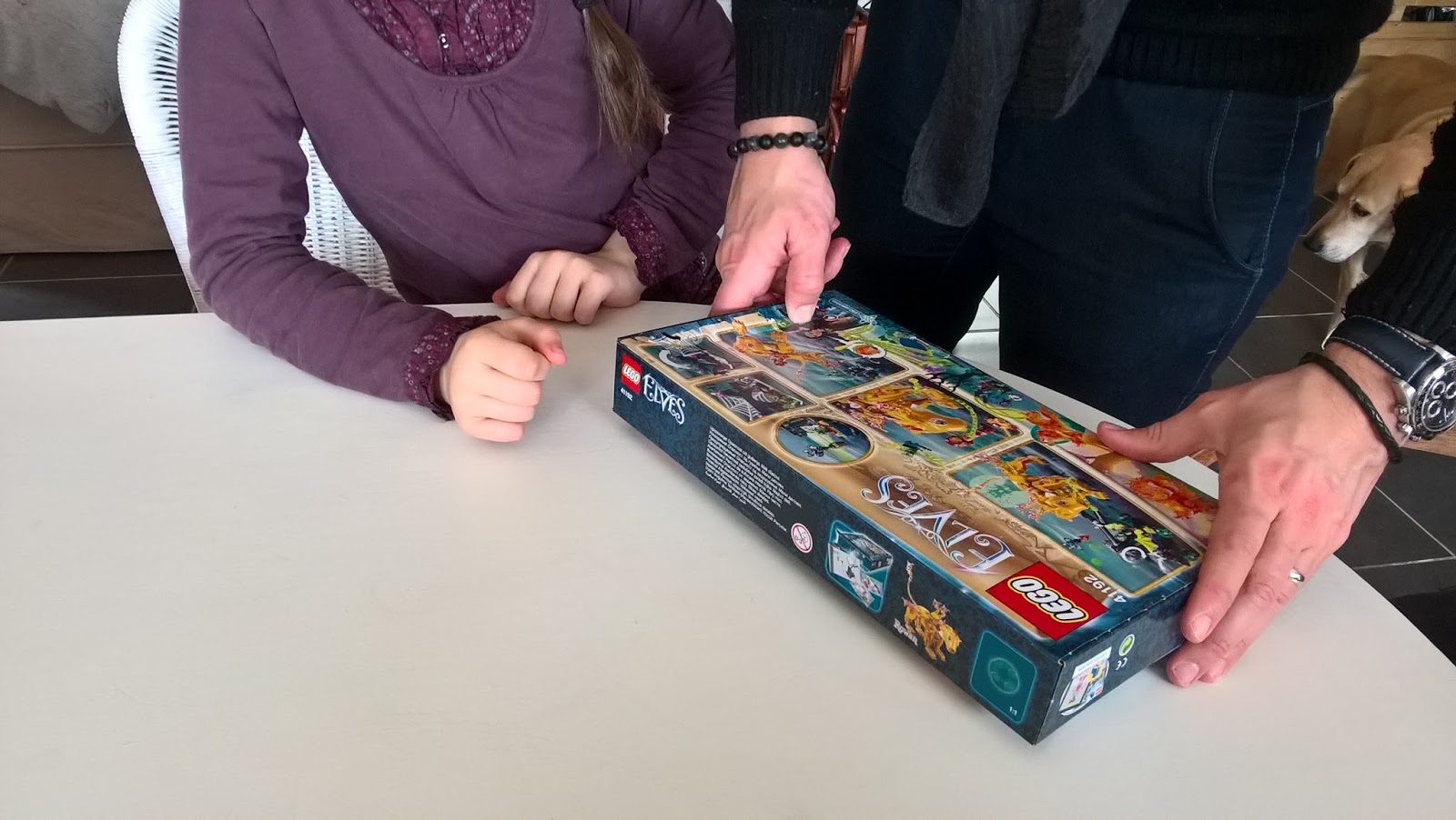 Armonyann : teste: Lego elves par The insiders