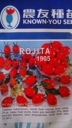 Benih, Tomat Cherry, Rojita, Tomat Rojita, Tomat Murah Rojita,tomat, tahan virus,kuning, keriting, unggul, dataran rendah, tinggi, petani, Known You Seed