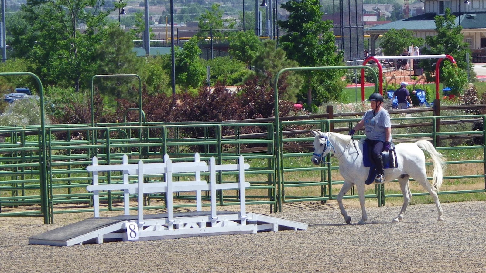 Trails to Lead Old Cowboys Home Again Working Equitation Clinic