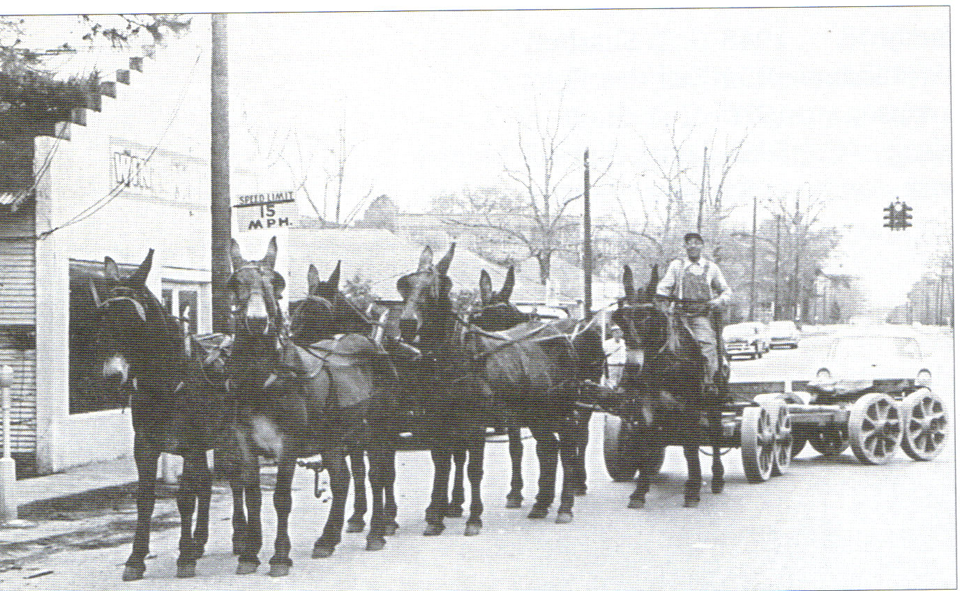Tally Ho! More Photos Of Kirbyville Texas Back In The Day