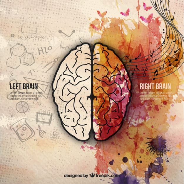 مصدر الإبداع في الدماغ وخرافة الجانب الأيمن