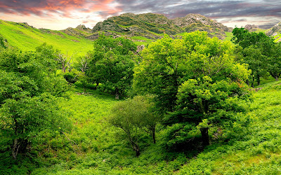 Beautiful Landscape HD Wallpapers