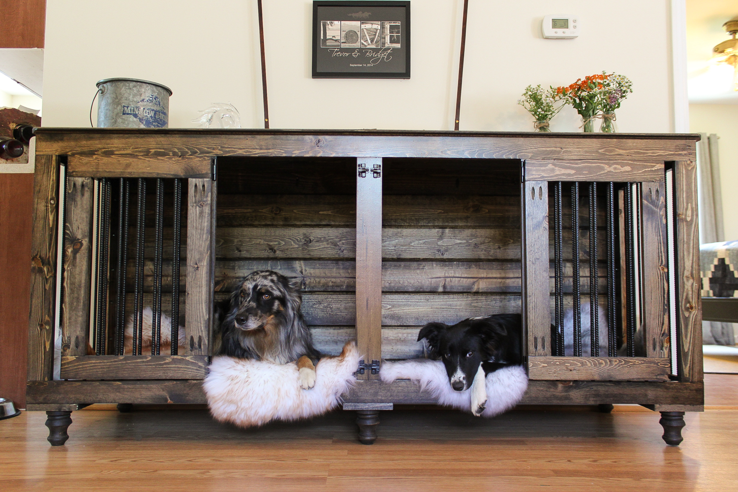 Dog Kennel Hamilton Mt Dog Kennel Hamilton Mt