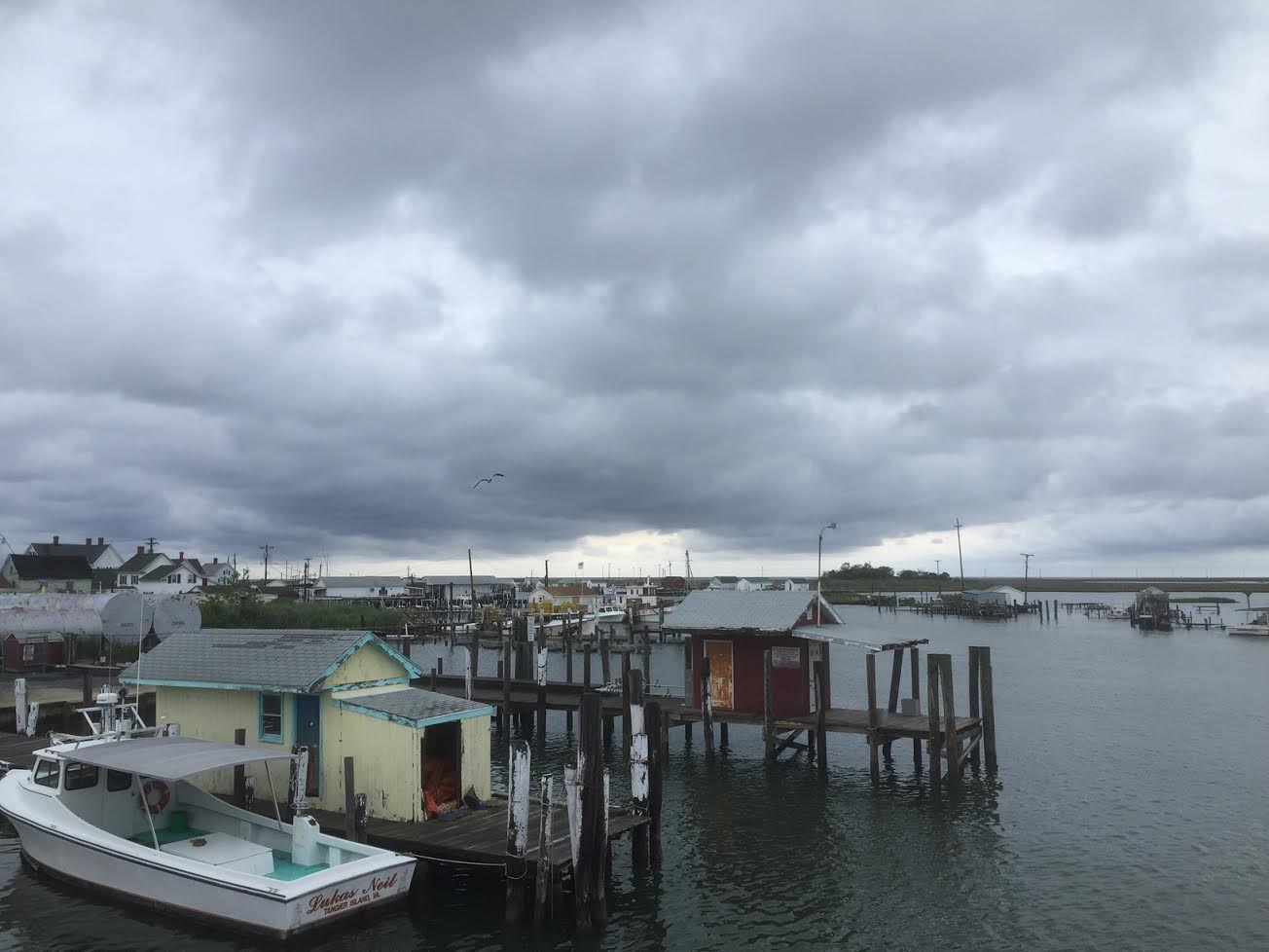 Tangier Island A World Apart