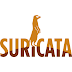 Suricata + Snorby on Debian Linux