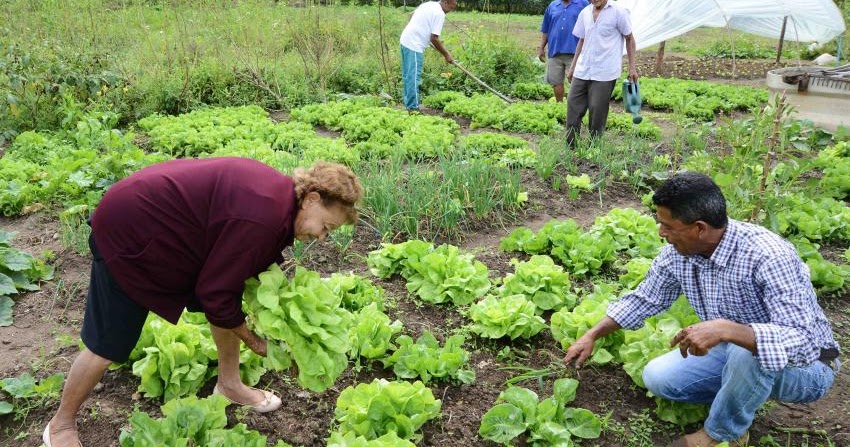 Resultado de imagem para Agroecologia: "É hora de pensar em outras maneiras"