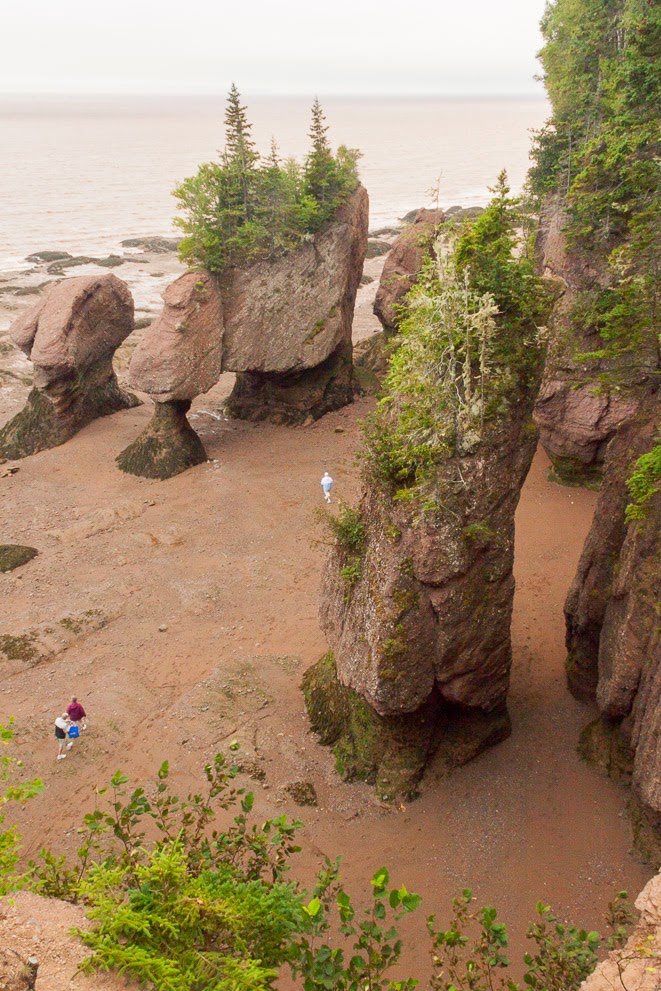 IsenhartsPhotos Hopewell Rocks low tide
