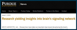 https://www.purdue.edu/newsroom/releases/2016/Q2/research-yielding-insights-into-brains-signaling-network.html