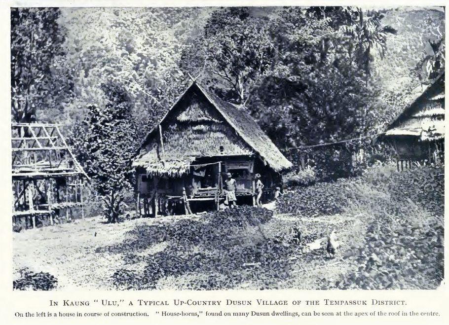 Kampung Panjut Tuaran,Borneo Traditional Suang Lotud houses of Sabah