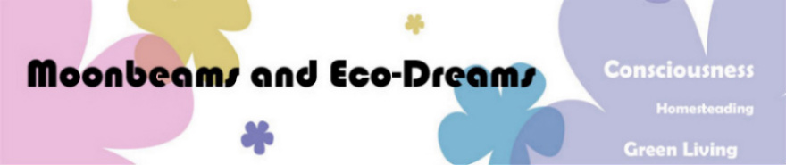 Moonbeams and Eco-Dreams