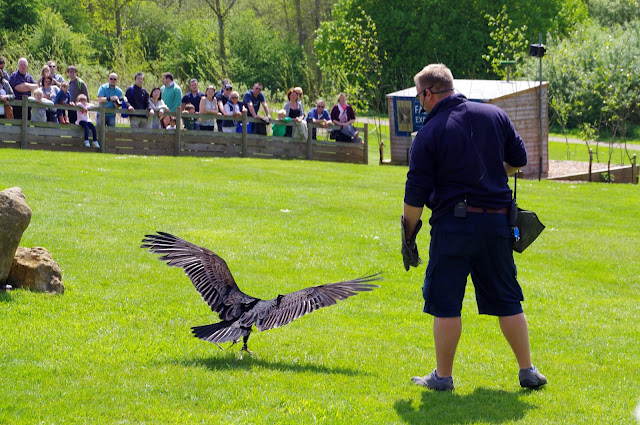 Leeds Castle Kent England