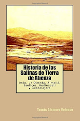 HISTORIA DE LAS SALINAS DE TIERRA DE ATIENZA