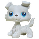 Littlest Pet Shop Singles Collie (#363) Pet Littlest Pet Shop Singles Collie (#363) Pet