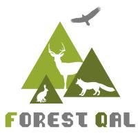 Forest QAL