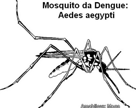 desenhos colorir mosquito da dengue veja os desenhos para colorir e