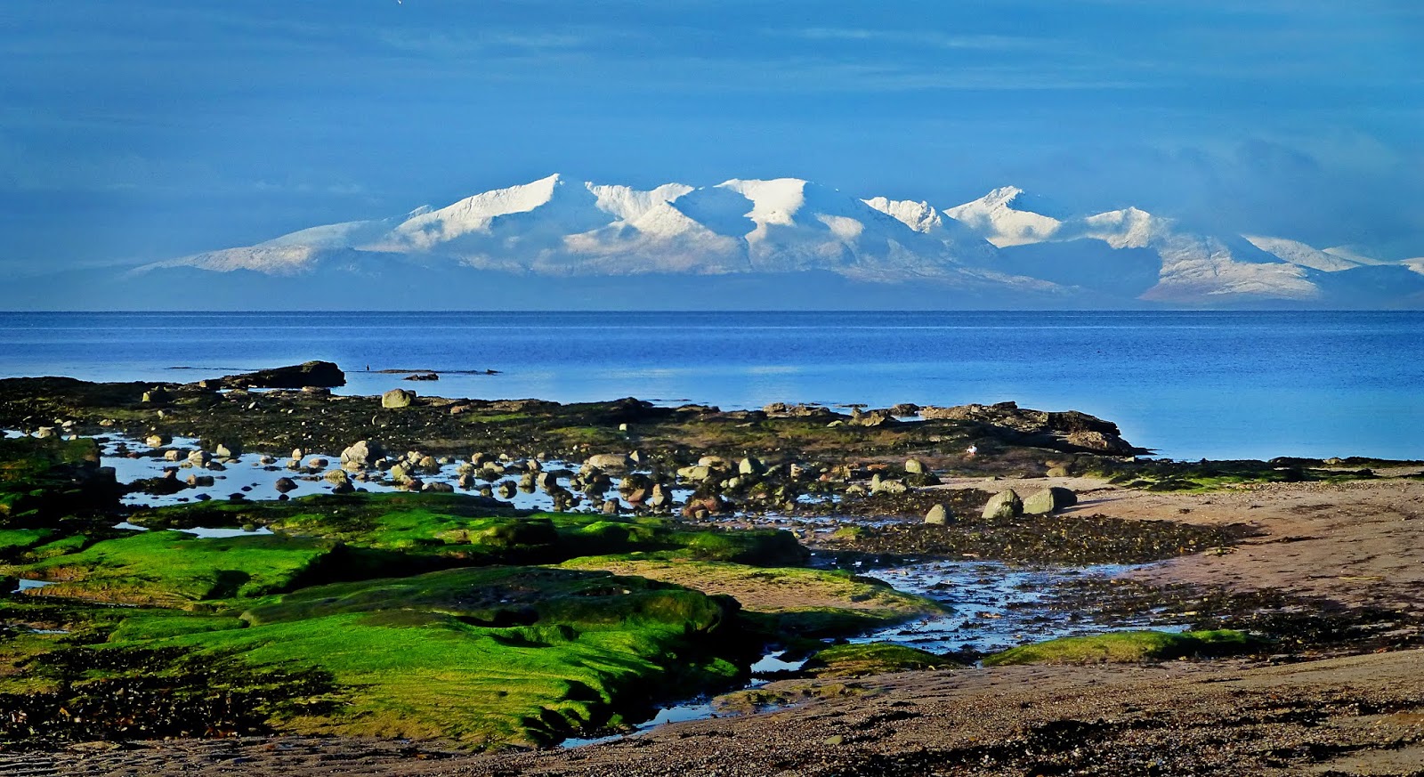Adventures of the Early Ooters some images from Portencross walk today