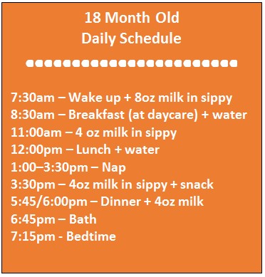 8 month old daily schedule 8 month old daily schedule