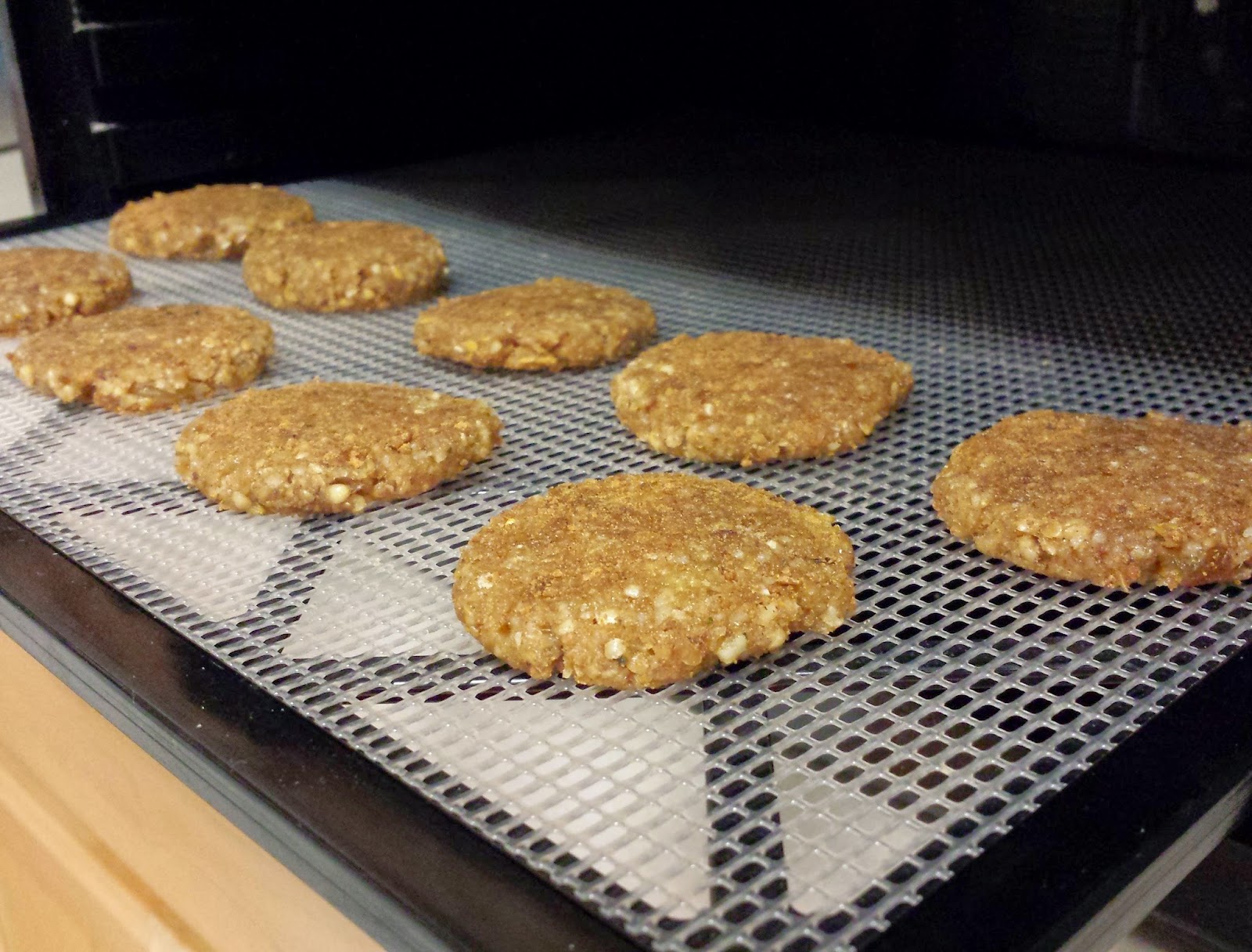 Raw Vegan Recipes by Rocki Raw Vegan Oatmeal Raisin Cookies and Cookie Dough Bliss Balls