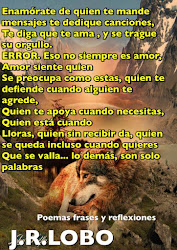frases imagenes lobos amor tristes lobo lindas reflexiones mas palabras poemas nada