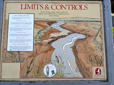 Limits & Controls