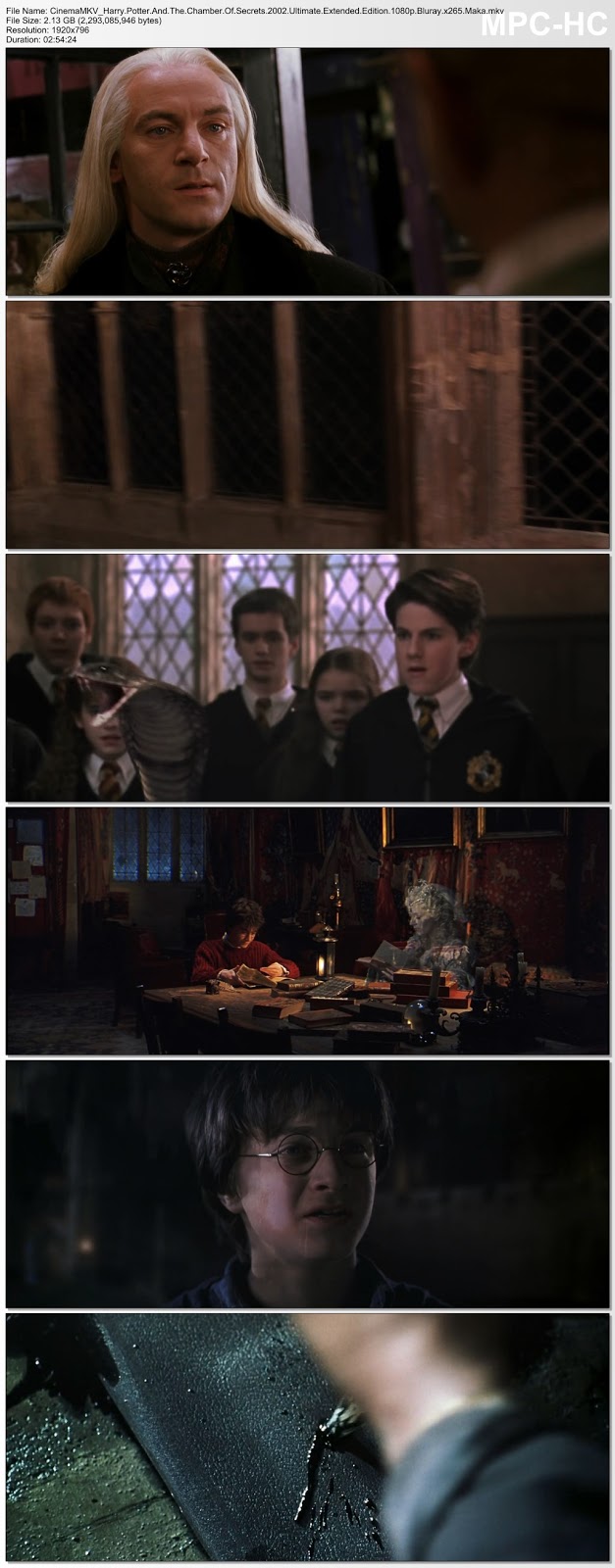 Potter Potter