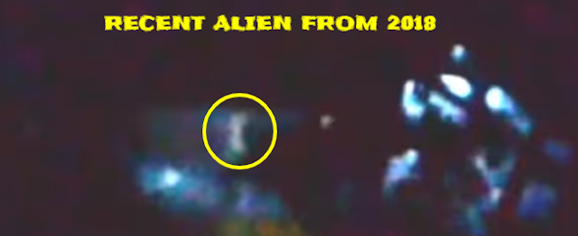 Alien caught on camera inside a UFO at the controls. Alien caught on camera inside a UFO at the controls.