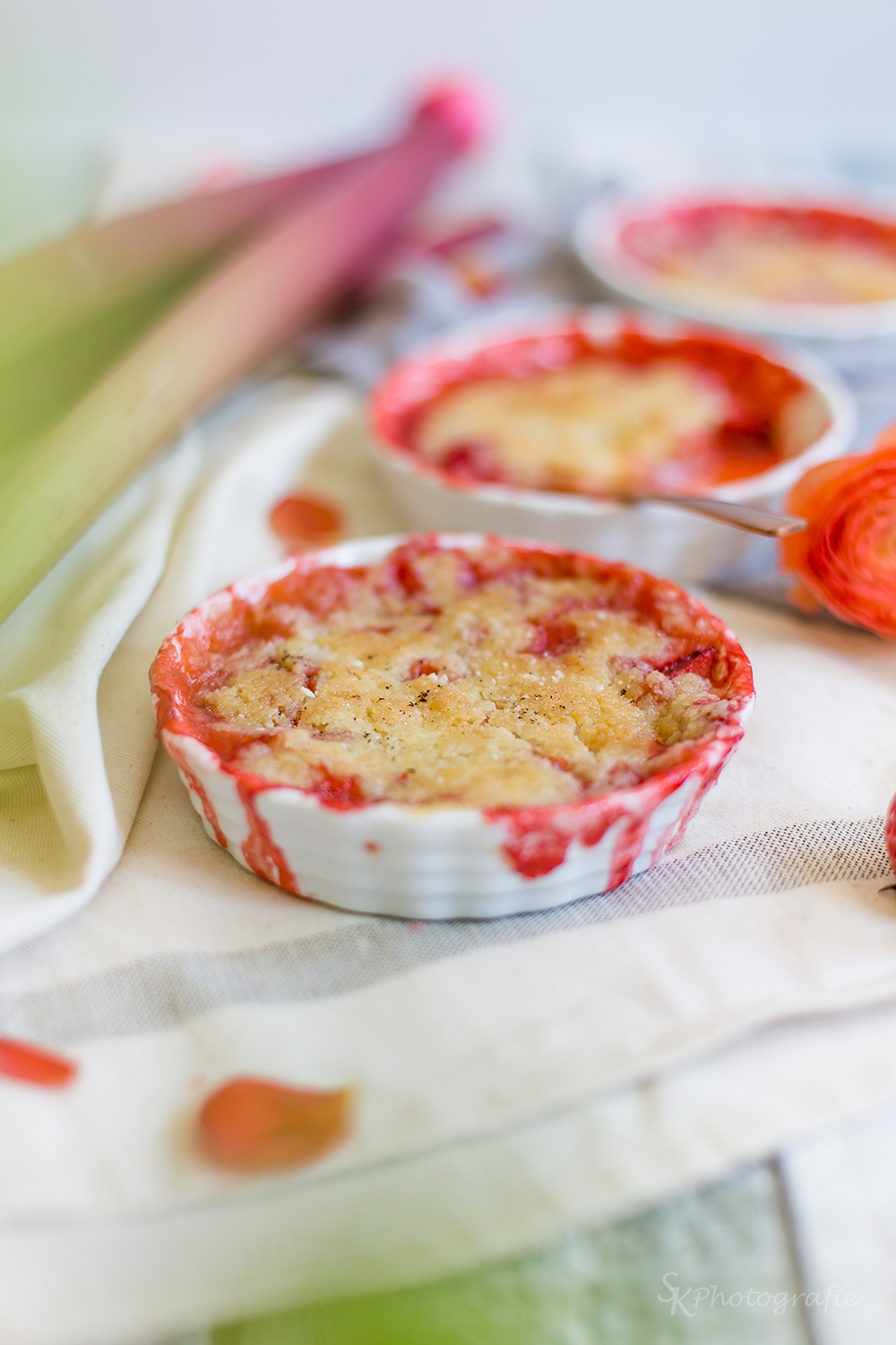 Fruchtig-süßer Rhabarber-Erdbeer-Crumble mit Vanille | Alles und Anderes