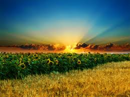 آية وقول وحكمة ليوم 25/1