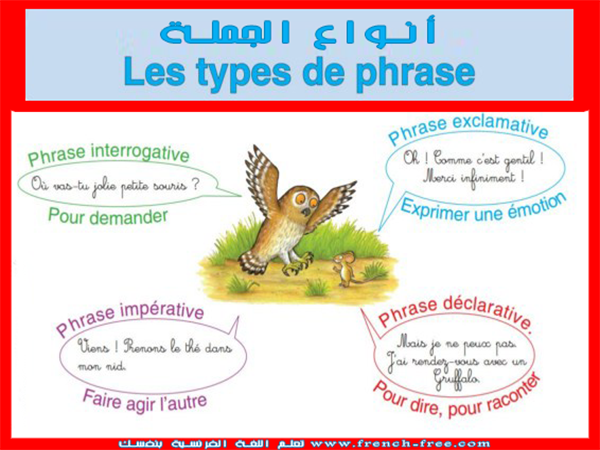 تعرف على الأنواع الأربعة للجملة في اللغة الفرنسية Les Types de phrase