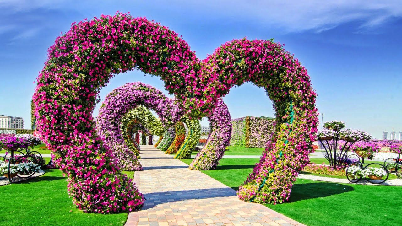 natural flower garden that will never seen you before kero tv