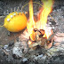YouTuber Specialized In Survival Skills Teaches Us How To Start A Fire Using A Lemon