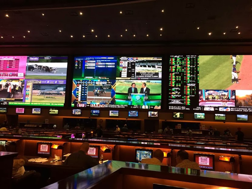 Red Rock sports book