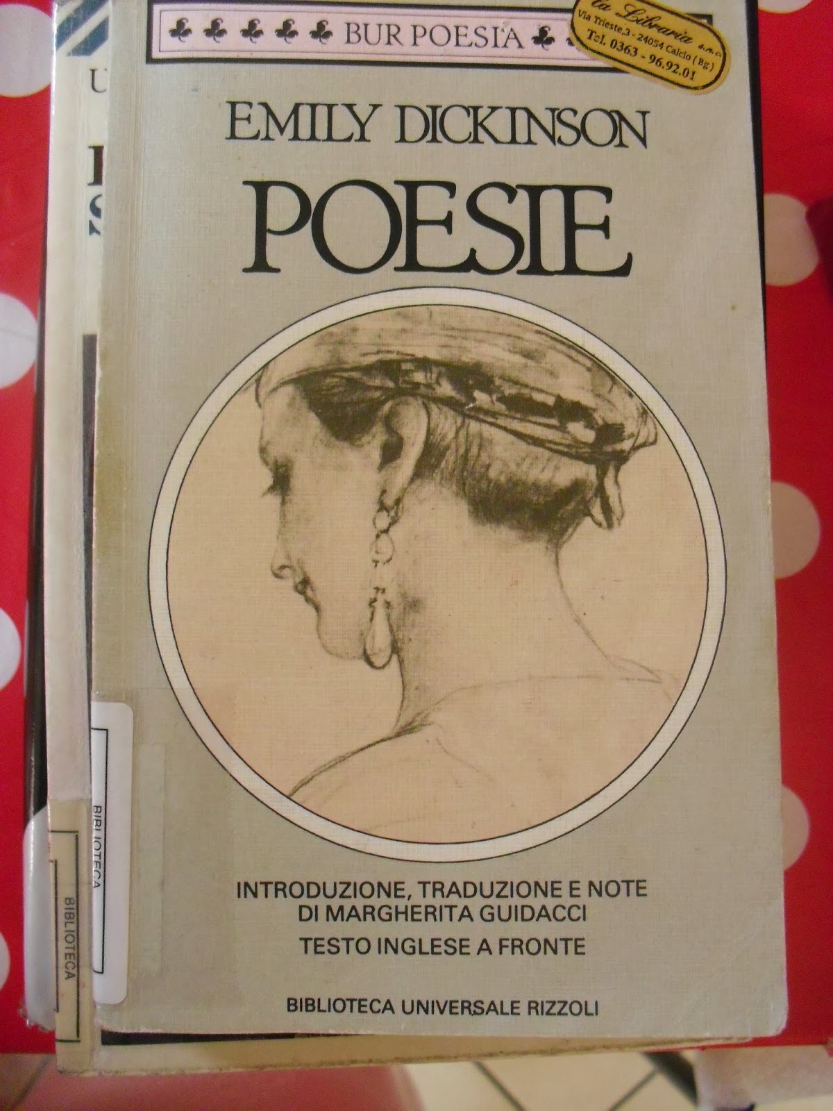 Tra le pagine di un libro,un gatto: 