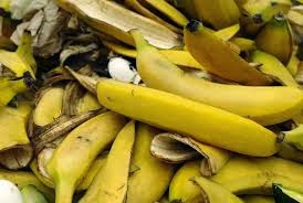 Siapa sih yang tidak mengenal buah pisang Manfaat Kulit Pisang Untuk Kesehatan Tubuh