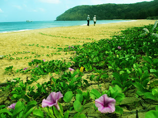 Vé máy bay đi Côn Đảo