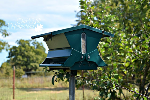 Squirrel-proof bird feeder