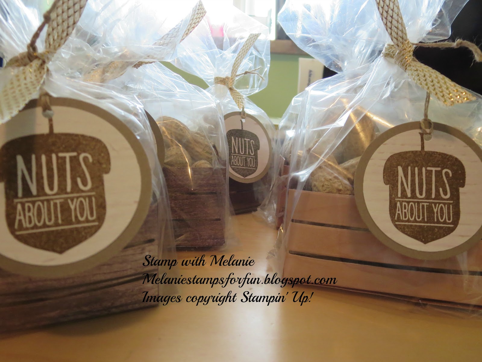 Stamp With Melanie Nuts About You Somethings Old, Somethings New