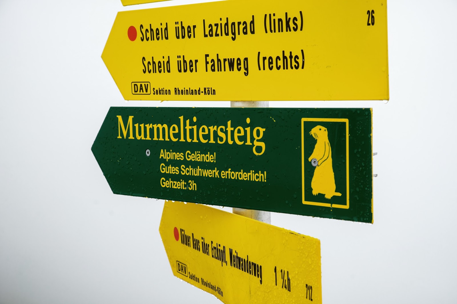 Bp Bau Partner Ag Search Ch