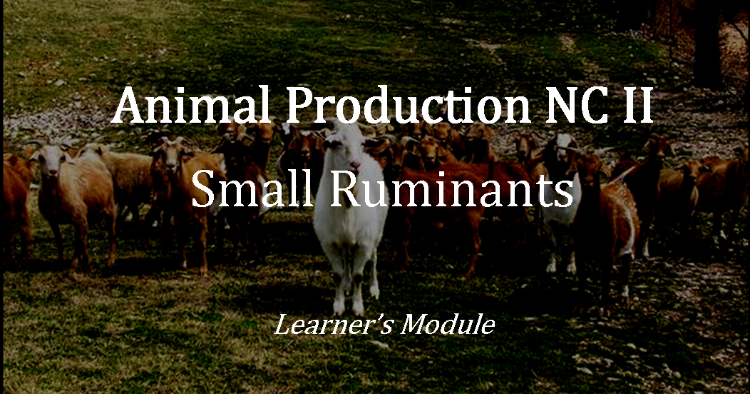 Animal Production NCII (Small Ruminants) Learner's Module