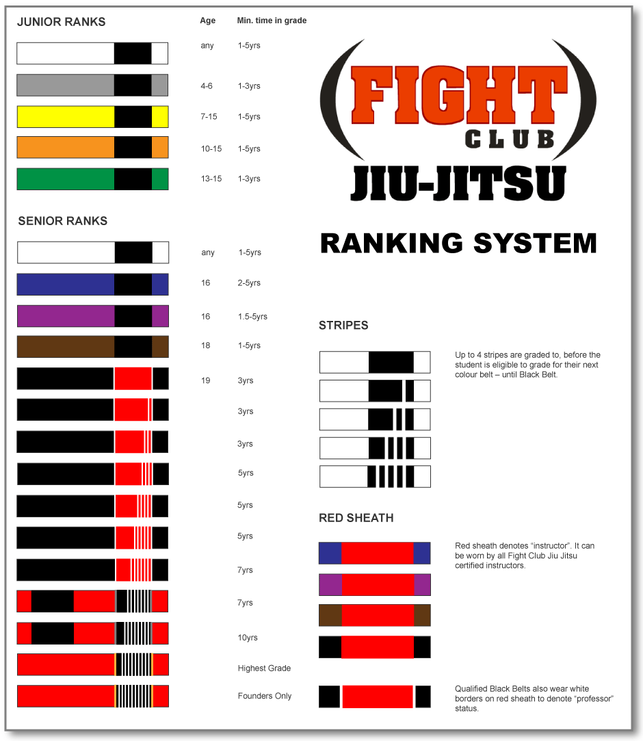 jiu jitsu basics Jiu Jitsu Belts