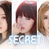 El grupo femenino Secret en preparaciones para un comeback